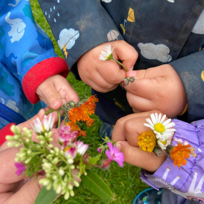 Blumensammeln zum Pressen Blumensammeln zum Pressen